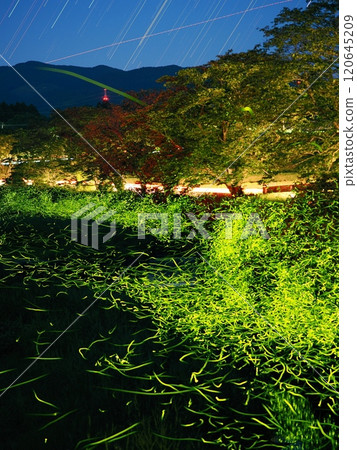 Firefly light Firefly light 120645209