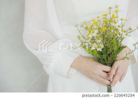 Young lady's portrait 120645284