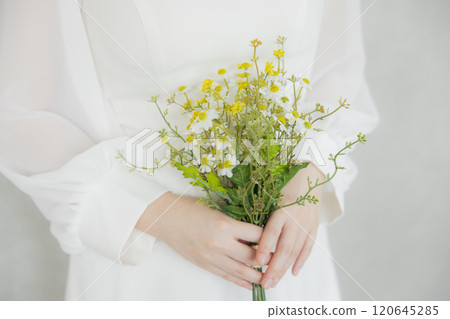 年輕的女士的肖像 120645285