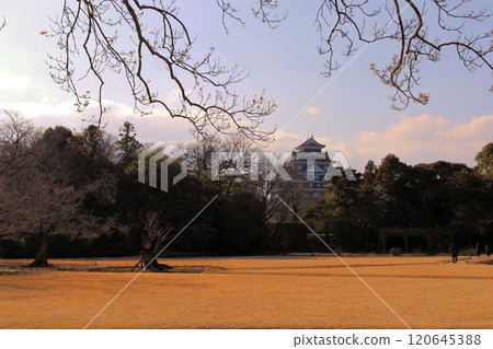 從後樂園看到的岡山城 從後樂園看到的岡山城 120645388