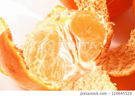 柑橘(西羽柑橘) 柑橘(西羽柑橘) 120645529