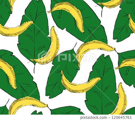 Seamless stylish pattern with fresh yellow bananas on green leaves background in graphic style. Bananas vector pattern for cloth, textile, wrap, tshirt, bermudas and other design. Seamless stylish pattern with fresh yellow bananas on green leaves background in graphic style. Bananas vector pattern for cloth, textile, wrap, tshirt, bermudas and other design. 120645761