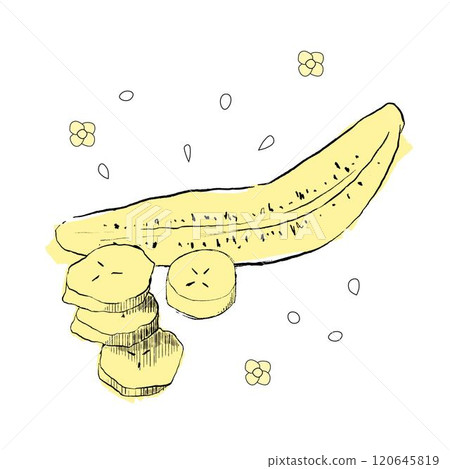 Graphic hand drawn sliced banana fruit composition, vector tropical farm food. for sweet dessert or organic juice package 120645819