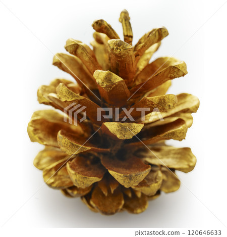Golden Christmas cone isolated on white Golden Christmas cone isolated on white 120646633