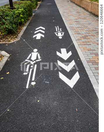 "Bicycle navigation marks" installed on sidewalks where bicycles can pass "Bicycle navigation marks" installed on sidewalks where bicycles can pass 120646664