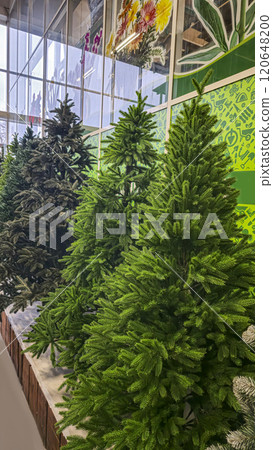 Decorated Christmas tree with festive toys Christmas atmosphere. Decorated Christmas tree with festive toys Christmas atmosphere. 120648200