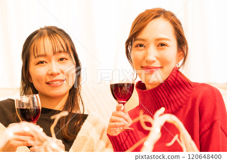 兩個女人在家庭聚會上敬酒 兩個女人在家庭聚會上敬酒 120648400