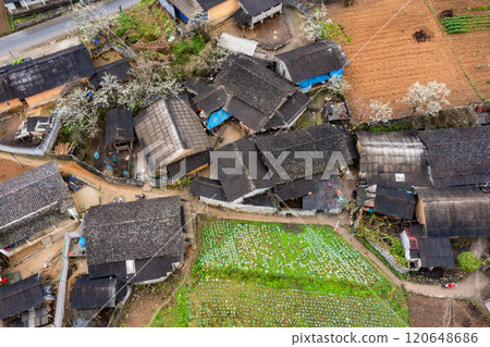 Spring landscape in Ha Giang - Northern mountainous province of Vietnam 120648686