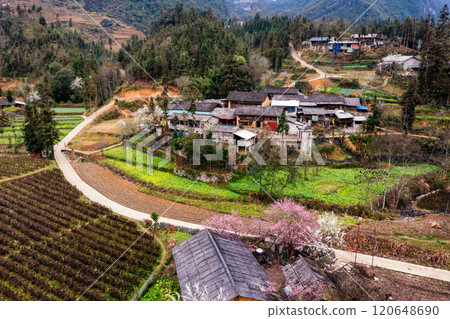 Spring landscape in Ha Giang - Northern mountainous province of Vietnam Spring landscape in Ha Giang - Northern mountainous province of Vietnam 120648690