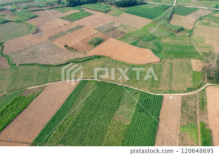 Spring landscape in Ha Giang - Northern mountainous province of Vietnam Spring landscape in Ha Giang - Northern mountainous province of Vietnam 120648695