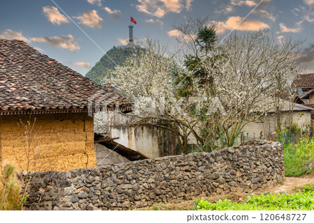 Spring landscape in Ha Giang - Northern mountainous province of Vietnam Spring landscape in Ha Giang - Northern mountainous province of Vietnam 120648727