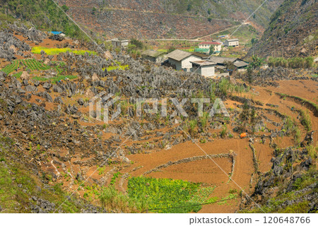 Spring landscape in Ha Giang - Northern mountainous province of Vietnam Spring landscape in Ha Giang - Northern mountainous province of Vietnam 120648766