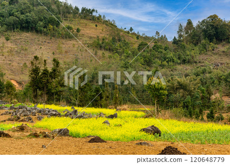 Spring landscape in Ha Giang - Northern mountainous province of Vietnam 120648779