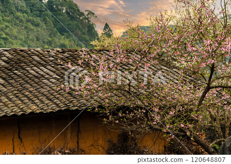 Spring landscape in Ha Giang - Northern mountainous province of Vietnam Spring landscape in Ha Giang - Northern mountainous province of Vietnam 120648807