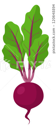 A cartoonish drawing of a purple vegetable with a green stem A cartoonish drawing of a purple vegetable with a green stem 120648894