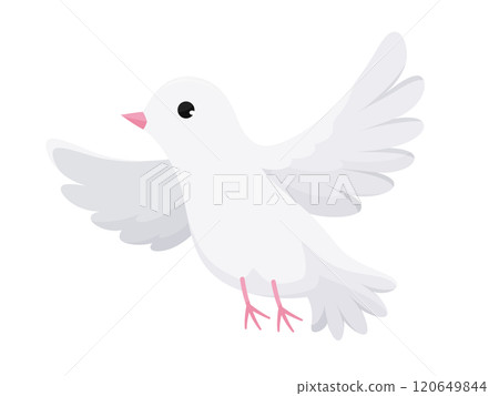 一隻白鴿用魔術飛出去的插圖 120649844