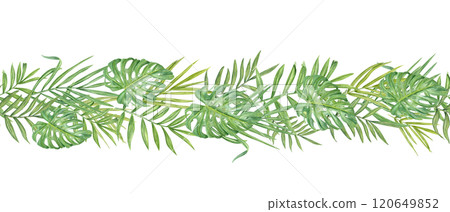 Watercolor tropical green leaves horizontal seamless banner. Hand painted palm, Areca, Cycas and monstera foliage pattern for textile, holiday package, kitchen canvas, wall art, decorative 120649852
