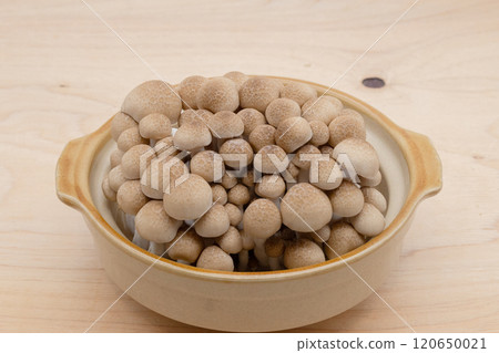 蘑菇火鍋:土鍋姬路蘑菇 蘑菇火鍋:土鍋姬路蘑菇 120650021