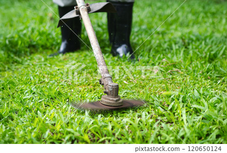 the man mowing tall grass with electric or petrol lawn trimmer in the backyard. 120650124