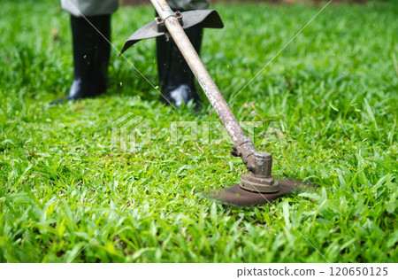 the man mowing tall grass with electric or petrol lawn trimmer in the backyard. the man mowing tall grass with electric or petrol lawn trimmer in the backyard. 120650125