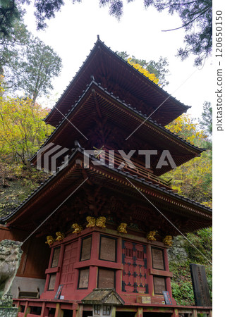 Looking up at the three-story pagoda at Haruna Shrine in autumn Looking up at the three-story pagoda at Haruna Shrine in autumn 120650150