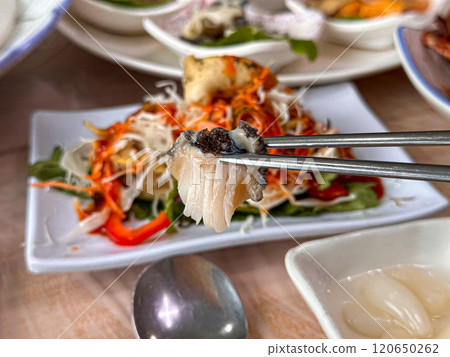 Korean seafood. fresh abalone sashimi 120650262