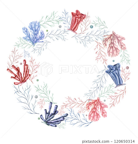 watercolor undersea pink, blue corals, plants, water bubbles wreath isolated on white. Lagoon underwater colored polyps illustration with copy space for text. For package decor, greeting cards watercolor undersea pink, blue corals, plants, water bubbles wreath isolated on white. Lagoon underwater colored polyps illustration with copy space for text. For package decor, greeting cards 120650314