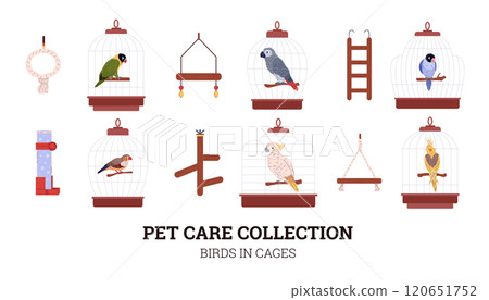 Pet care collection, vector birds sit in bird cages, swing, ladder, drinker, toys accessories for domestic parrot bird 120651752