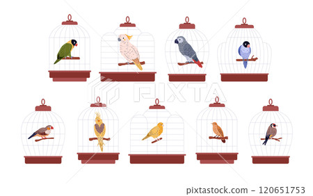 Set of domestic birds in cages. Set of domestic birds in cages. 120651753
