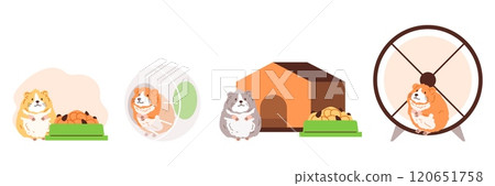 Vector set accessories for hamster: a walking ball, a running wheel, a house, a bowl Vector set accessories for hamster: a walking ball, a running wheel, a house, a bowl 120651758