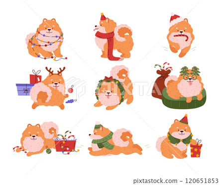 Vector New Year's collection with a Pomeranian and in a New Year's costume Vector New Year's collection with a Pomeranian and in a New Year's costume 120651853