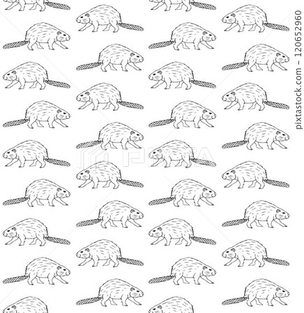 Vector seamless pattern of hand drawn beaver Vector seamless pattern of hand drawn beaver 120652960