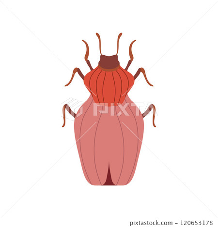Red Beetle Insect, Bug Top View Vector Illustration 120653178