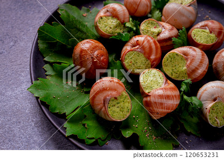 grape snails , stuffed in burgundy, french cuisine, grape snails , stuffed in burgundy, french cuisine, 120653231