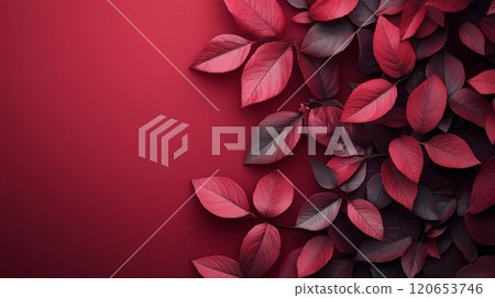 Red Leaves on Elegant Gradient Background Red Leaves on Elegant Gradient Background 120653746