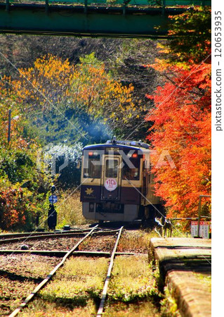 錦州鐵道…渡良瀨溪國鐵道澤入站 錦州鐵道…渡良瀨溪國鐵道澤入站 120653935