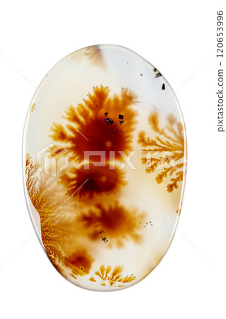 macro mineral stone Agata muschiata on a white background 120653996