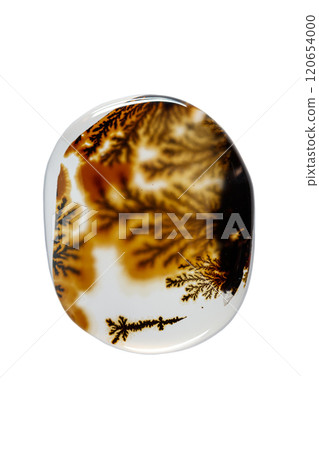 macro mineral stone Agata muschiata on a white background 120654000