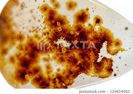 macro mineral stone Agata muschiata on a white background macro mineral stone Agata muschiata on a white background 120654002