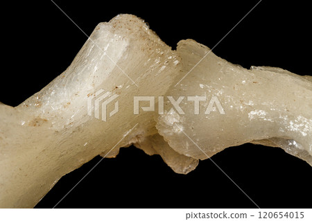 Macro of a stone Stilbite mineral on a black background 120654015