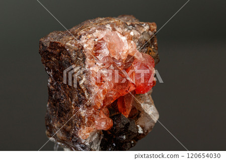 macro mineral stone Rhodochrosite on a black background 120654030