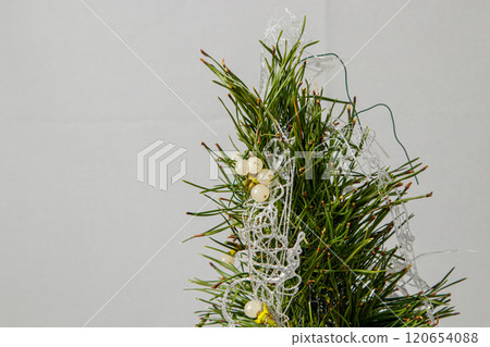 Christmas composition of flowers and Christmas decorations 120654088