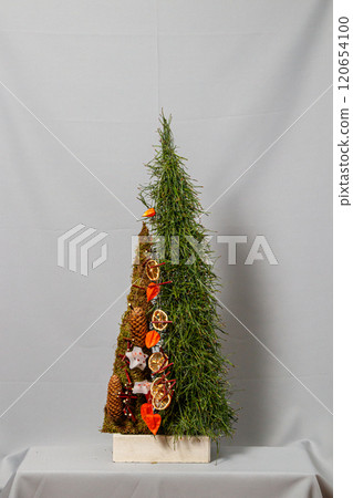 Christmas composition of flowers and Christmas decorations 120654100