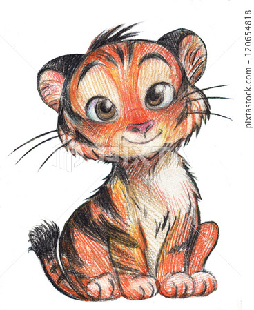 Pencil illustration of tiger cub in cartoon style for children isolated  120654818