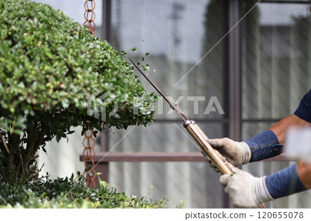 Men who care for garden trees Men who care for garden trees 120655078