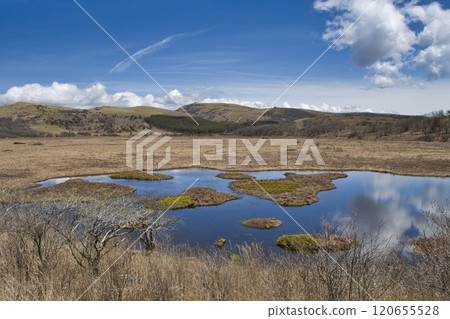[Nagano Prefecture] Yashimagahara Marsh 120655528