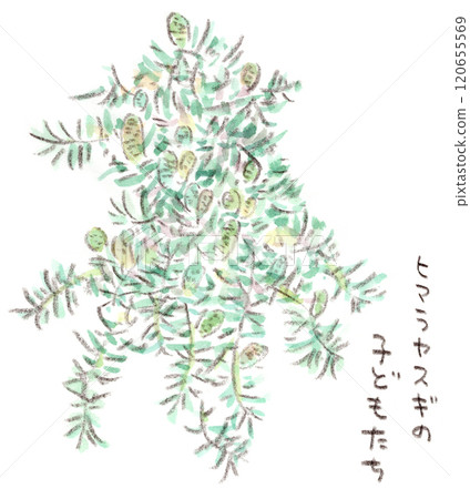 A watercolor illustration of an autumn plant, the male flowers of Himalayan cedar, blooming like a flock of small birds on the branches. 120655569