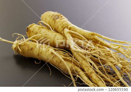 A lot of ginseng 120655590