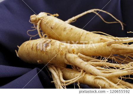 很多人參 很多人參 120655592