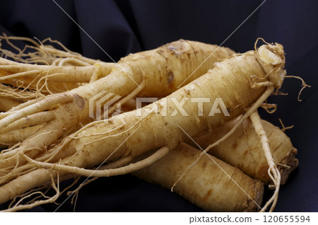 很多人參 很多人參 120655594